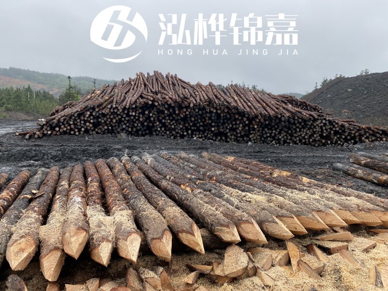 6米長松木樁有哪些作用，多少錢一根？