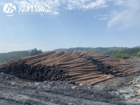河道打樁為什么選擇松木樁來處理軟地基？-松木樁施工使用范圍