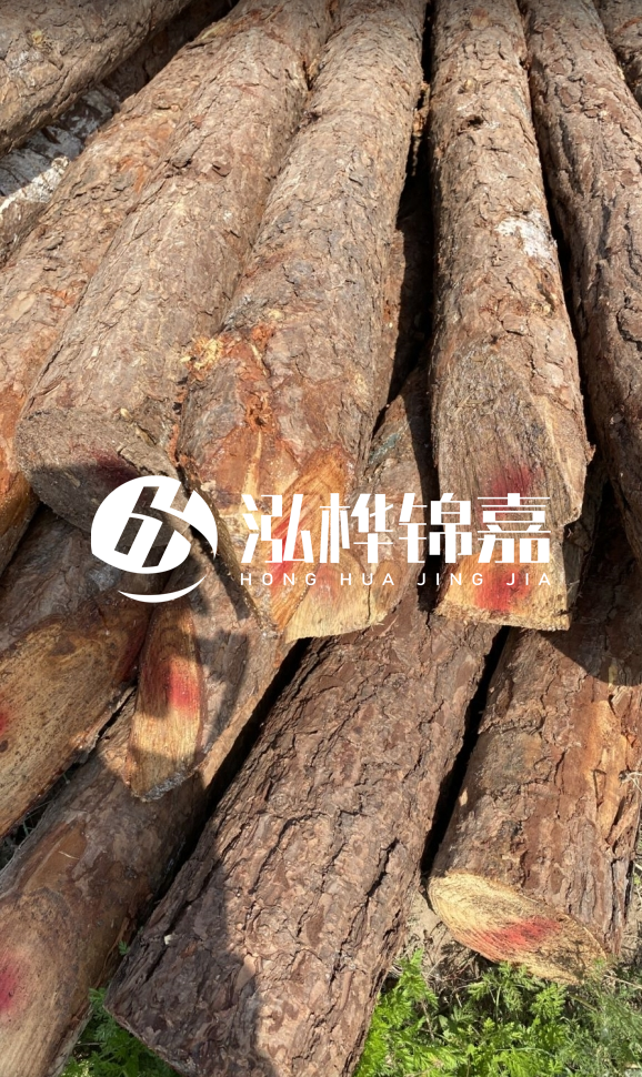 <strong>松木樁和杉木樁的用途區(qū)別？哪個更適合打樁用？</strong>