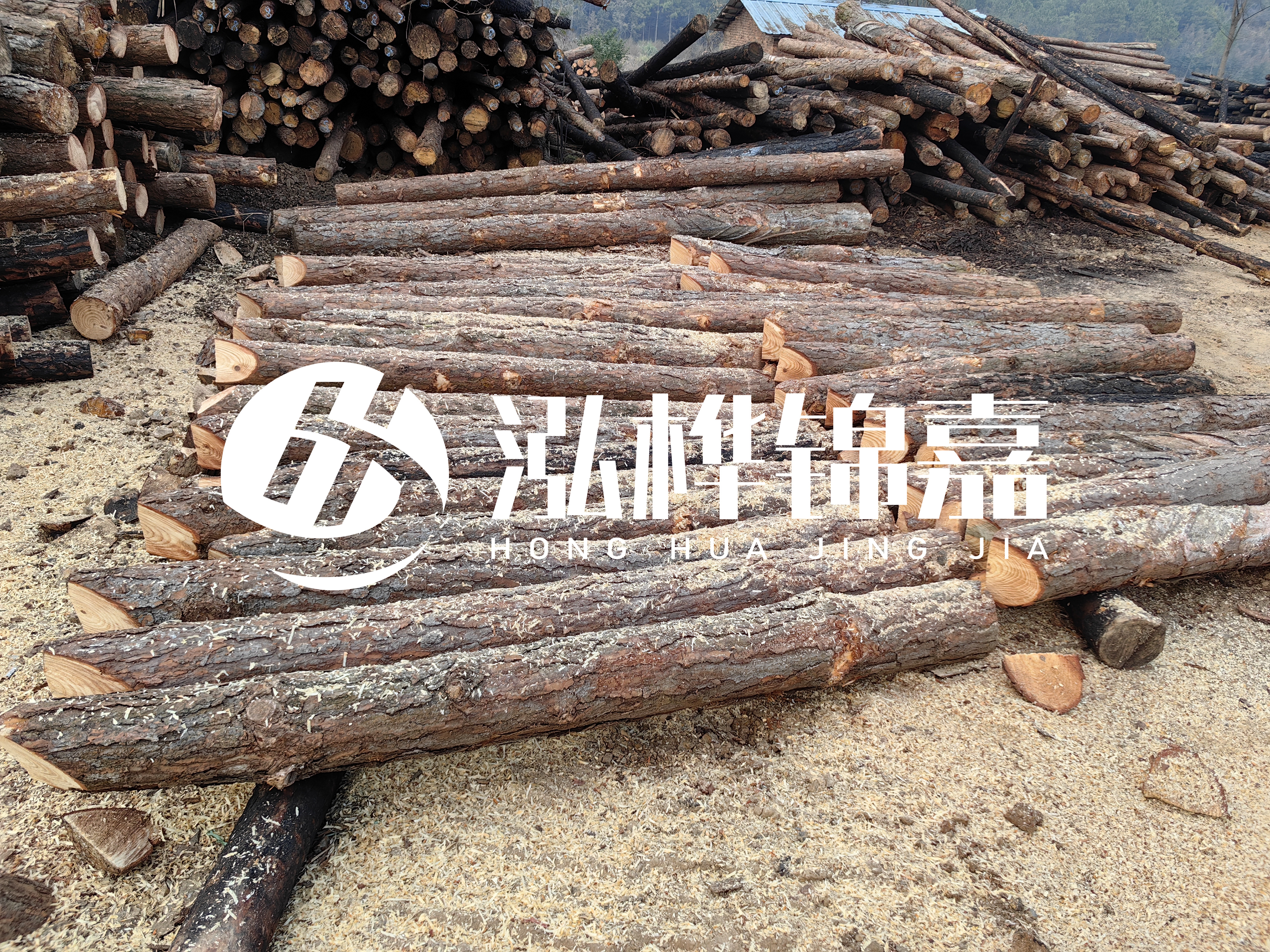 河道打樁木重復(fù)利用嗎？