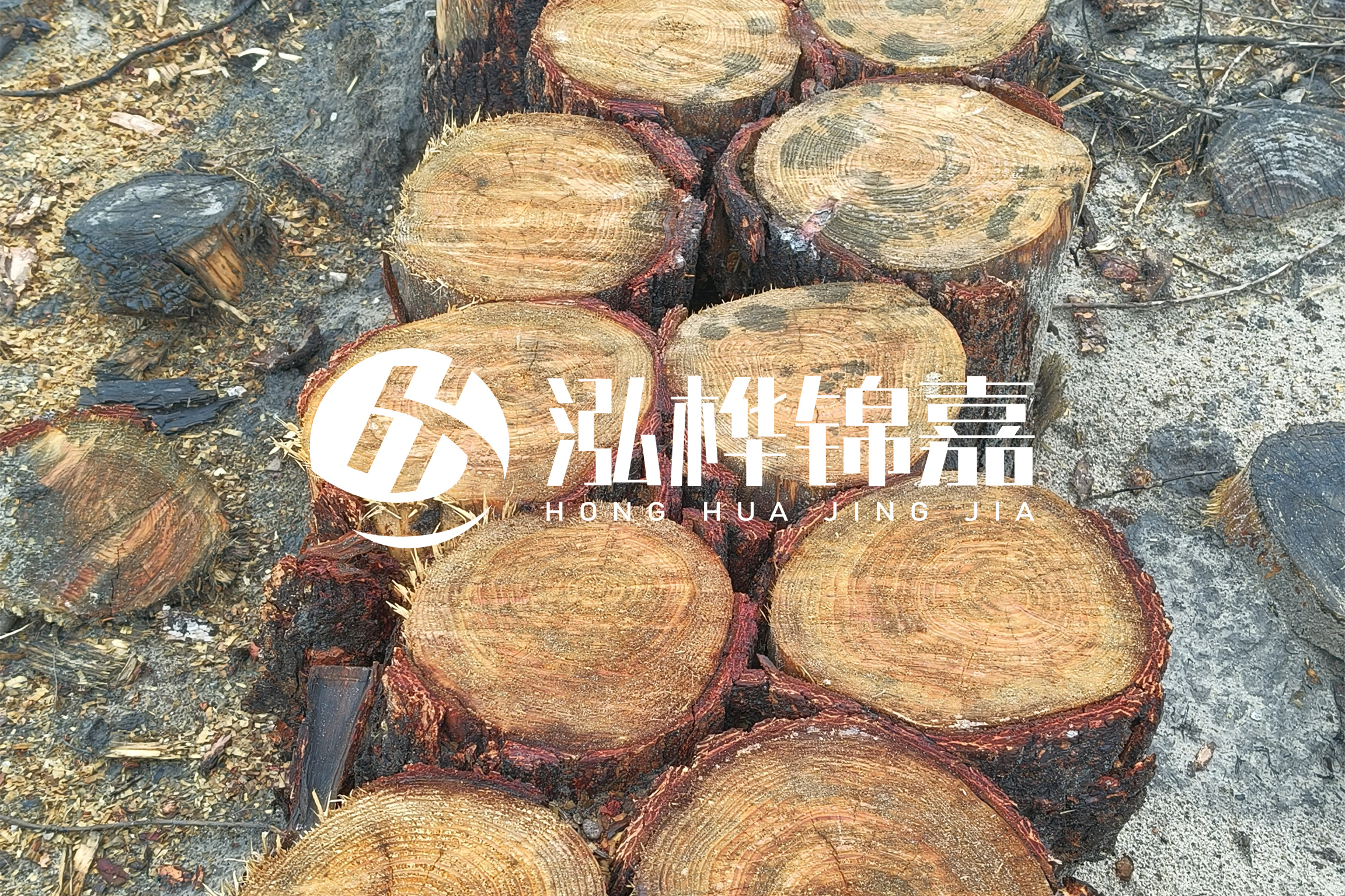 浙江臺(tái)州有清淤的公司嗎？浙江臺(tái)州有清淤施工隊(duì)嗎？