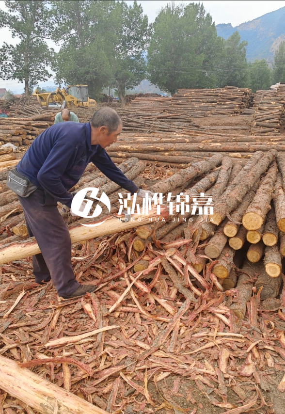 東營河道清淤專業(yè)施工隊-不同型號挖機清淤能力對比？