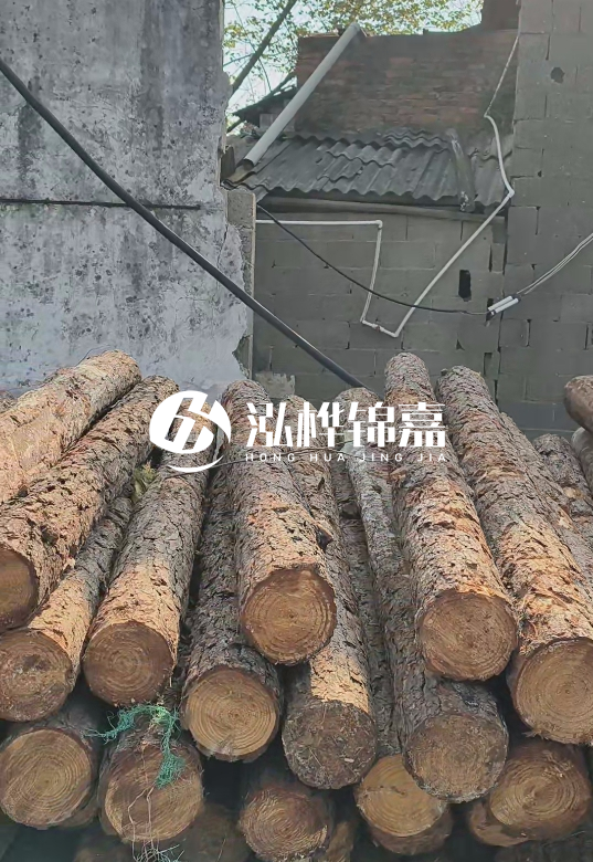 1.5米至2米長(zhǎng)松木樁價(jià)格表-10-12公分大概多少錢(qián)一根？