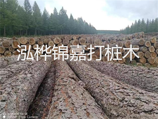 高效施工，圓松木樁助力建筑工程進展順利