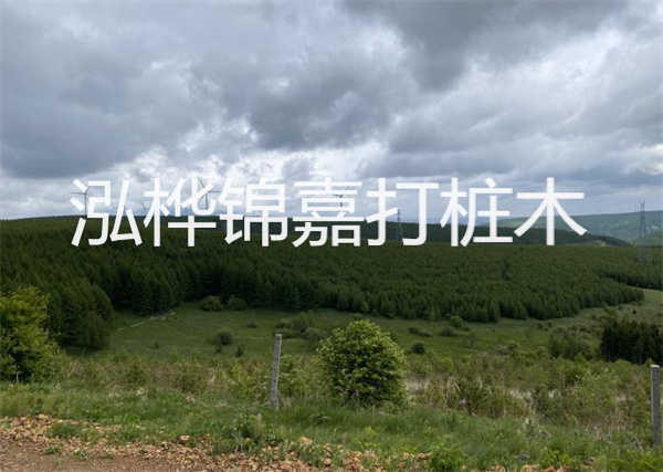松木樁能重復(fù)施工么？