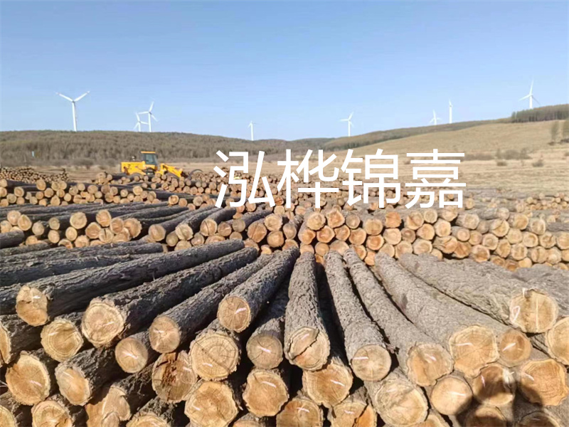 溫州松木樁施工廠(chǎng)家——為您打造堅(jiān)固穩(wěn)定的建筑基礎(chǔ)！