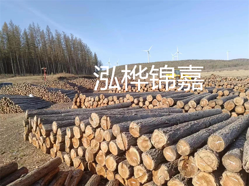 用路基松木樁施工方案提升工程質(zhì)量描述：了解路基松木樁施工方案的重要性，提高工程質(zhì)量關(guān)鍵詞：路基松木樁，施工方案，工程質(zhì)量