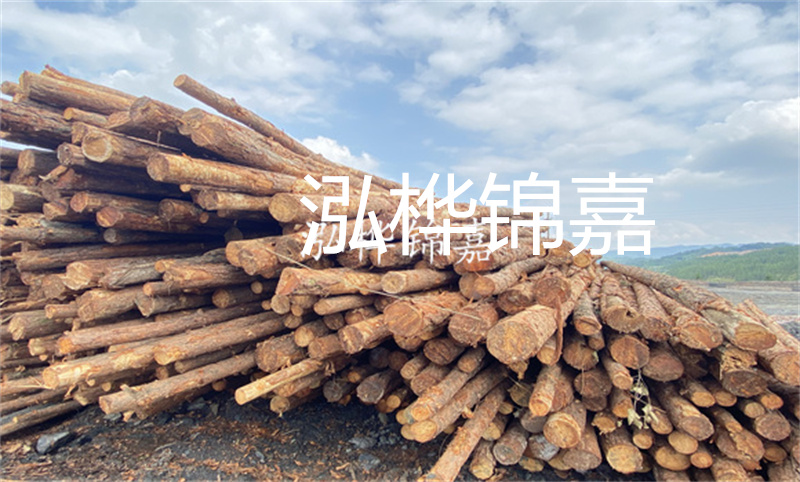 濮陽松木樁，卓越品質(zhì)，安全可靠