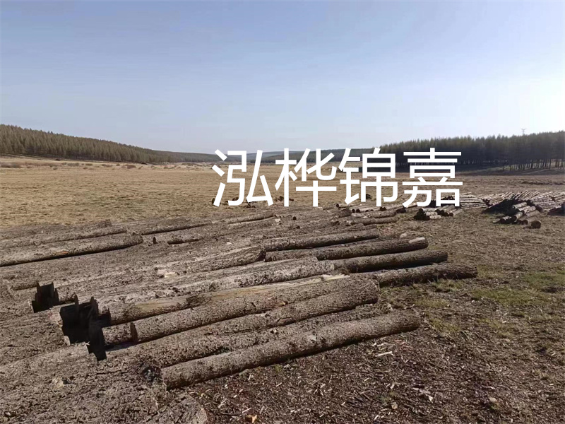 鄂州松木樁哪里好？推薦泓樺錦嘉松木樁業(yè)！